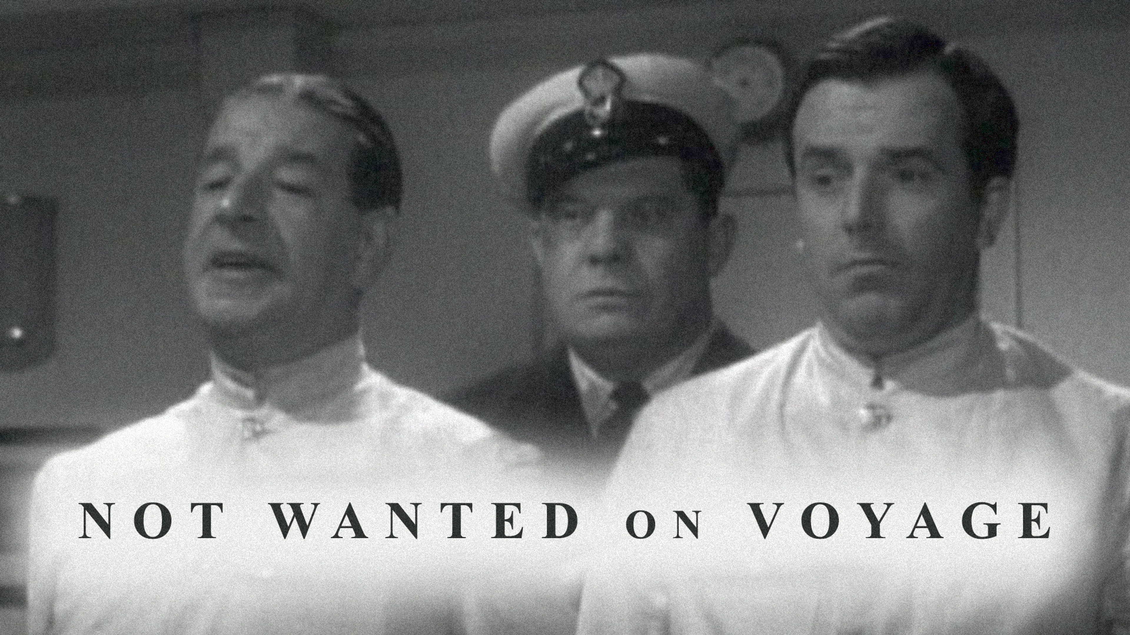 Not Wanted On Voyage poster